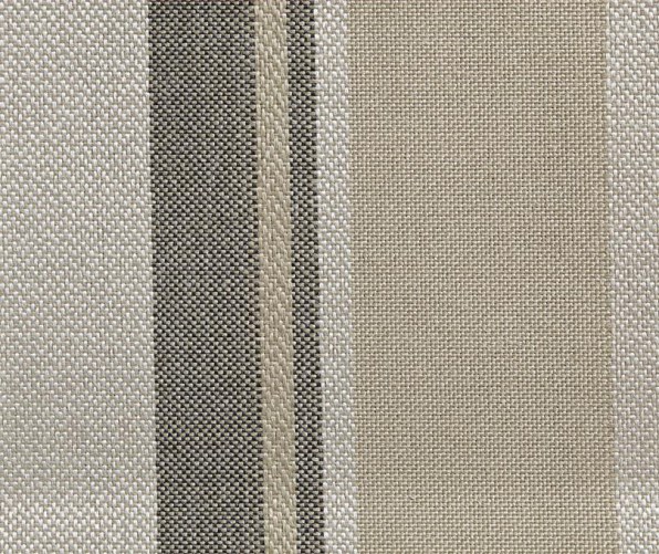 bloom-stripe